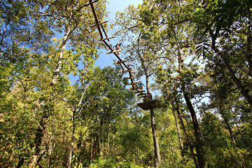 Asian tourists adventure on a zip line in Ban Mae Wang, Chiang Mai, Thailand