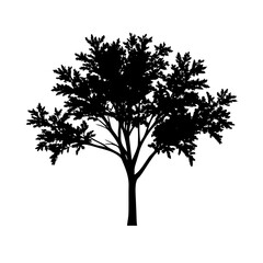 Tree silhouette: A simple yet striking silhouette of a tree stands out against a stark background, perfect for adding a touch of natural elegance to any project.