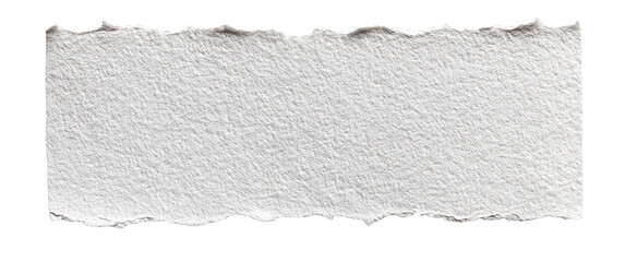 A ripped piece of off-white paper