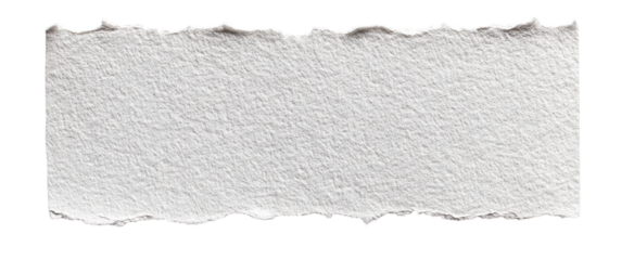 A ripped piece of off-white paper