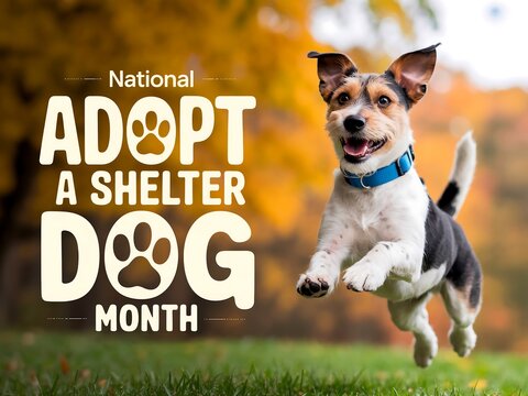 Celebrate national adopt a shelter dog month with a joyful canine companion