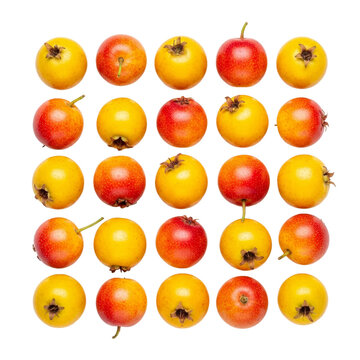 Colorful arrangement of tejocotes Mexican hawthorn fruit on a clean white background showcasing their vibrant hues and textures