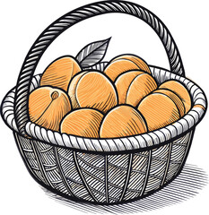 figs Fruits line art design