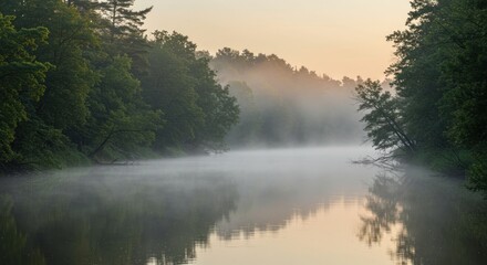 Fototapeta premium Calm River Winding Through Lush Forest at Sunrise Serene Landscape