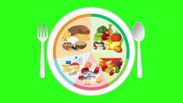 Animated Healthy Eating Plate Guide with Food Groups on Green Screen