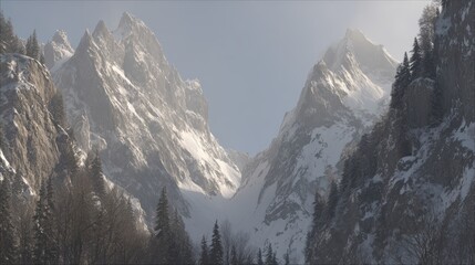 Majestic snow covered mountain peaks towe over a dense pine forest in a breathtaking winter landscape scene