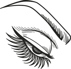vector illustration of a eye 