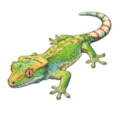 Obraz premium Detailed watercolor vector illustration of a colorful crested gecko. Exotic reptile pet lizard isolated on a white background