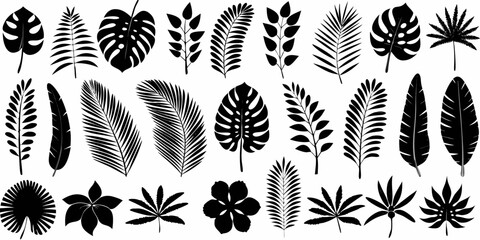 Collection of black silhouette tropical leaves and flowers