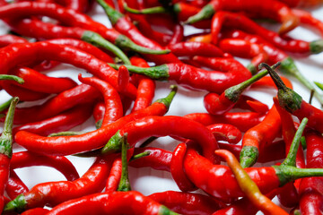 bunch of red chilies full frame on white background.
