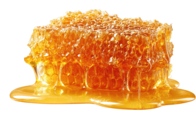 Honeycomb dripping with golden honey (1)