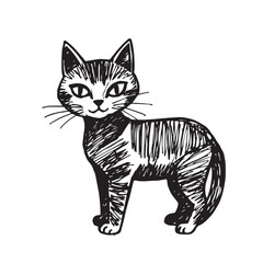 Cat Doodle Black and White Illustration Vector Image Cute Kitten Sketch Line Art Drawing Silhouette