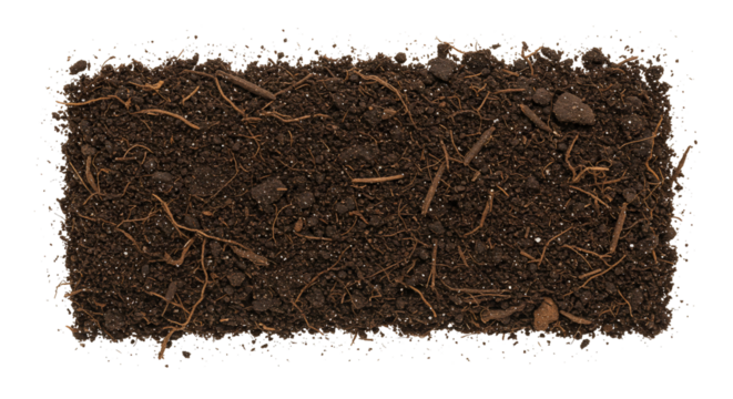 Dark brown soil sample with roots and stones high angle view transparent background - Powered by Adobe