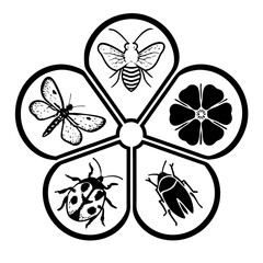 set of vector butterflies