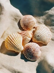 Five seashells resting on linen fabric in sunlight