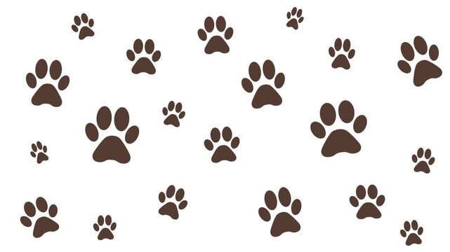 Dog Paw Loop Animation Background Texture