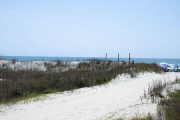 sandy pathway leading to the beach