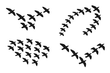 Naklejka premium Flock of birds flying in formation silhouette set. Bird migration concept. Group of birds in flight. Teamwork and unity symbol. Vector illustration collection isolated on white.