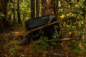 Fallen wheelbarrow beginning to be swallowed by the foliage