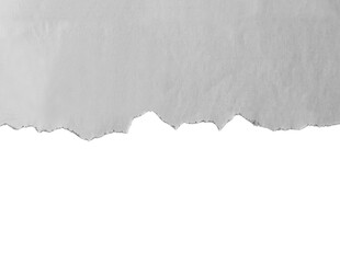 Gray Crumpled, Torn White Paper Texture