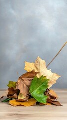 Dry autumn leaves in shades of brown, yellow and green rest on wooden surface against gray wall, a minimal fall banner with copy space for seasonal content