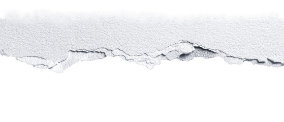 Obraz premium Ripped paper edge