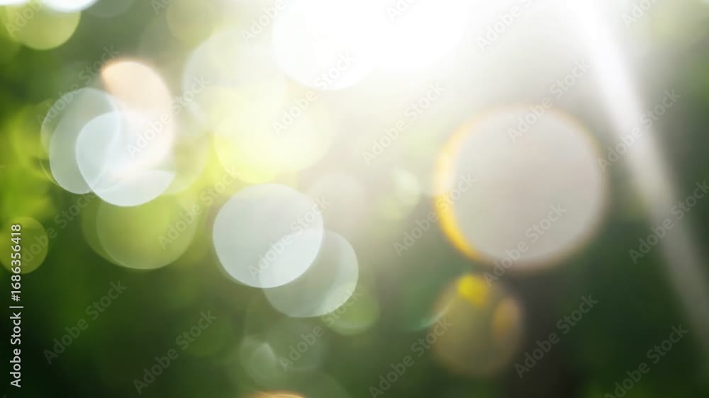 Poster a beautiful abstract image featuring a soft bokeh effect of green foliage and sunlight, creating a s