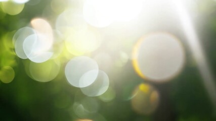 A beautiful abstract image featuring a soft bokeh effect of green foliage and sunlight, creating a serene and calming atmosphere perfect for nature-themed projects.