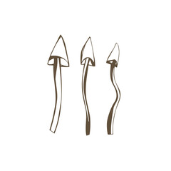 cute forest mushrooms set of three on white background in moss green perfect for prints Vector Illustration