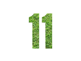 Design number 11 with grass texture isolated on white background