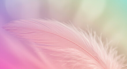Delicate Feather Floating in a Dreamy Pastel Haze A Gentle Touch of Color and Lightness Unveiling Beauty