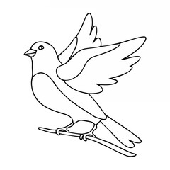 Cute bird sitting on branch i...