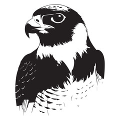 Peregrine falcon bird face silhouette single vector illustration set collection 