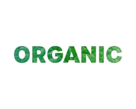 Organic text effect with green leaf texture and natural design