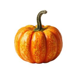 Obraz premium Close-up of a small, round pumpkin. Its orange skin has subtle, irregular, light orange speckles and streaks. A dark stem extends upward