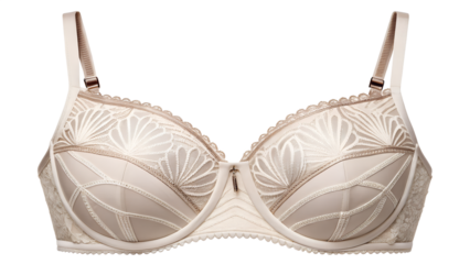 Luxurious beige bra featuring intricate embroidery and design elements isolated on transparent background