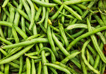 Close up of organic variegated beans at local farmers market.