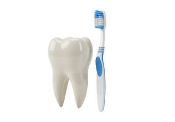 Healthy tooth and toothbrush 3 d rendering