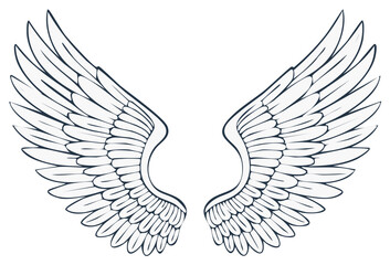 Obraz premium Outline Drawing of Angel Wings Spread Open