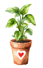 Obraz premium Watercolor illustration of a small potted plant. A terracotta-colored pot contains a lush, leafy plant with vibrant green leaves. A white heart is painted on the pot