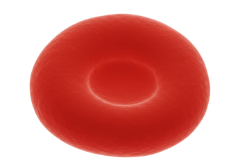 Red blood cell microscopic view detailed biology medical illustration