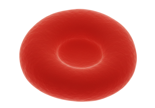 Red blood cell microscopic view detailed biology medical illustration