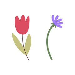 Beautiful Blooming Flower – Nature Photography