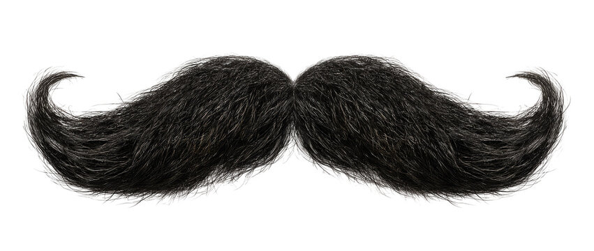 Full black handlebar mustache