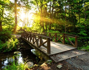 Fototapeta premium Sunlit wooden bridge across a stream in a lush forest