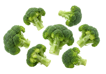 Fresh broccoli florets on transparent background