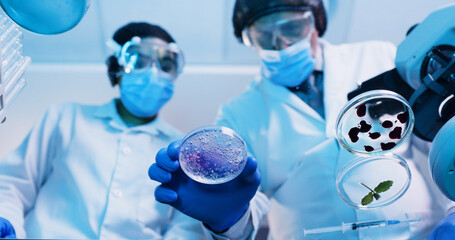 People, scientist and mixture in petri dish in lab for testing sample, experiment and research....