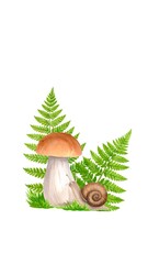Mushroom, snail, and fern illustration
