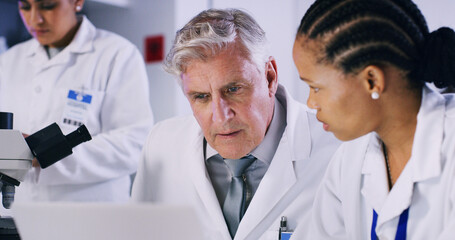 Scientist, people and discussion with laptop for chemistry, experiment and medical research. Biotech, laboratory and team with technology, results and pharmaceutical testing or pathology process