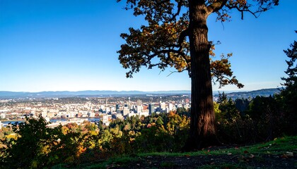 Autumn city panorama with a large tree